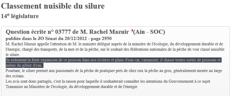 « Classement nuisible du silure… Ils redoutent la forte expansion de ce poisson dans nos rivières et plans d'eau car, carnassier, il chasse toutes sortes de poissons et même du gibier d'eau »