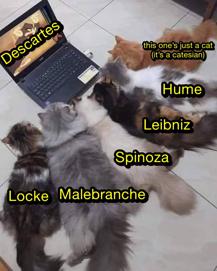 Mème. Des chats regardent attentivement Tom, de Tom et Jerry sur un ordinateur. Tom est renommé Descartes, et les chats sont respectivement : Locke, Malebranche, Spinoza, Leibniz, Hume et « this on's just a cat (it's a catesian) »