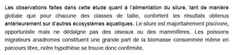 « Le silure est majoritairement piscivore, opportuniste mais ne dédaigne pas des oiseaux ou des mammifères. »