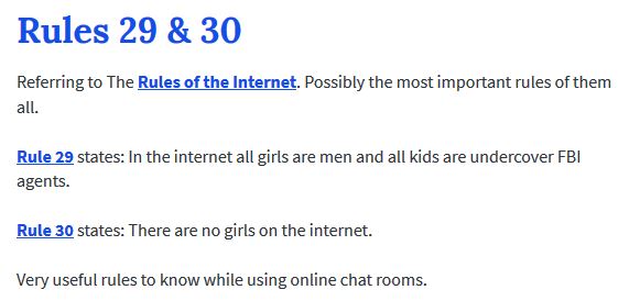 Rules 29 and 30, referring to the Rules of the Internet. Possibly the most important rules of them all. Rule 29 states: In the internet all girls are men and all kids are undercover FBI agents. Rule 30 states: There are no girls on the internet. Very useful rules to know while using online chat rooms.