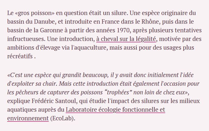 « Une espèce originaire du bassin du Danube, et introduite en France dans le Rhône, puis dans le bassin de la Garonne à partir des années 1970 »