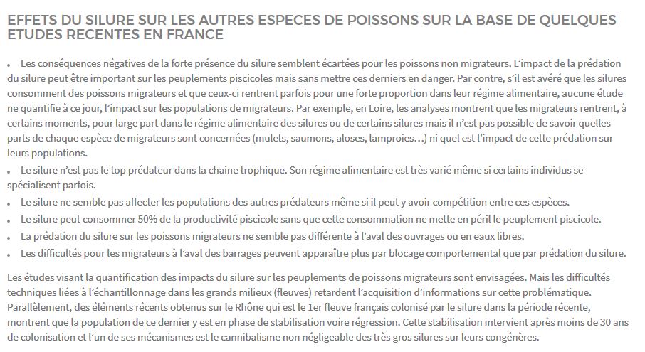 Longue liste des effets du silure sur les espèces de poissons