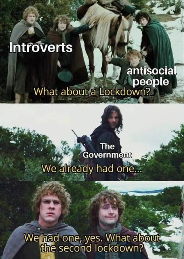 Mème du Seigneur des Anneaux. Les hobbits (« introverts and antisocial people ») demandent : « What about a Lockdown? ». Aragorn (« The Government ») répond : « We already had one… » Les hobbits : « We had one, yes. What about the second lockdown? »