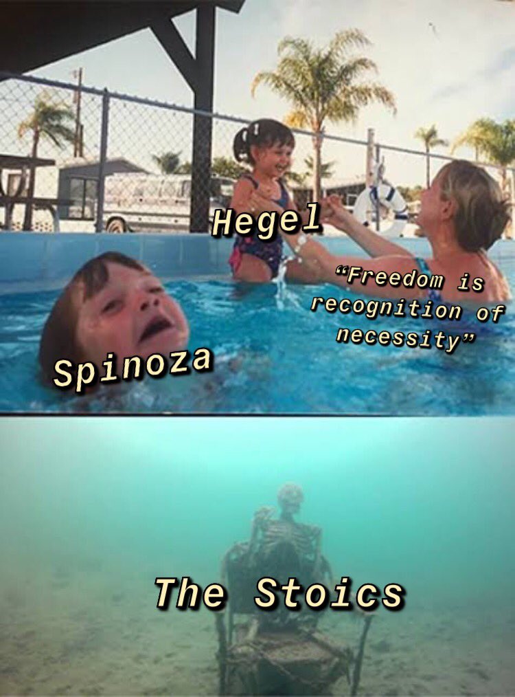 Mème. Une mère « Freedom is recognition of necessity » joue avec une enfant « Hegel » pendant qu'un autre enfant « Spinoza » se noie. Au fond de la piscine, un squelette « the stoics » attend.