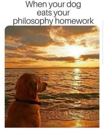 Mème. « When your dog eats your philosophy homework. » Un chien regarde calmement un coucher de soleil.