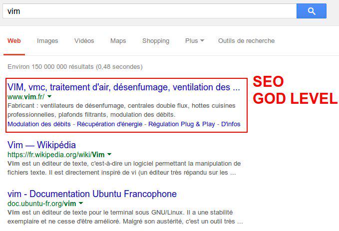 Résultat de recherche Google pour Vim, le premier résultat étant encadré avec la légende : 'SEO GOD LEVEL' puisque c'est celui d'une entreprise de ventilateurs
